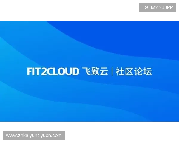 开云网页版入口手机版功能介绍及操作指南帮助新手快速上手游戏玩法